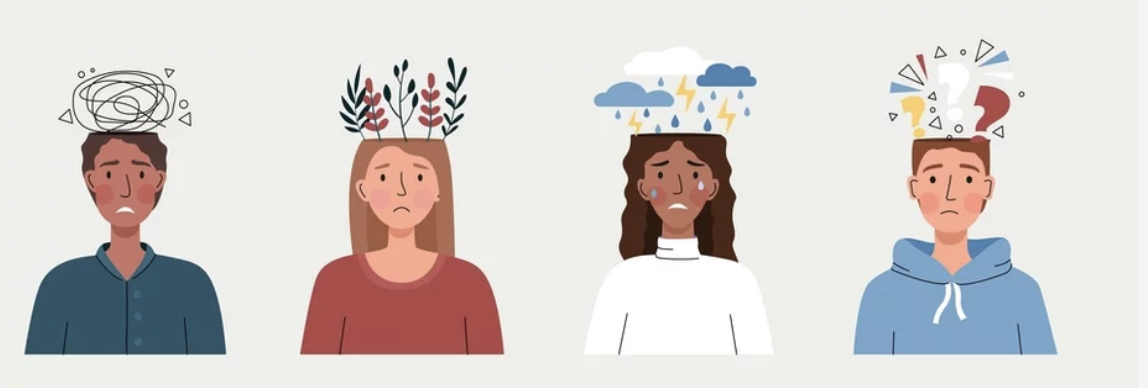understanding your brain