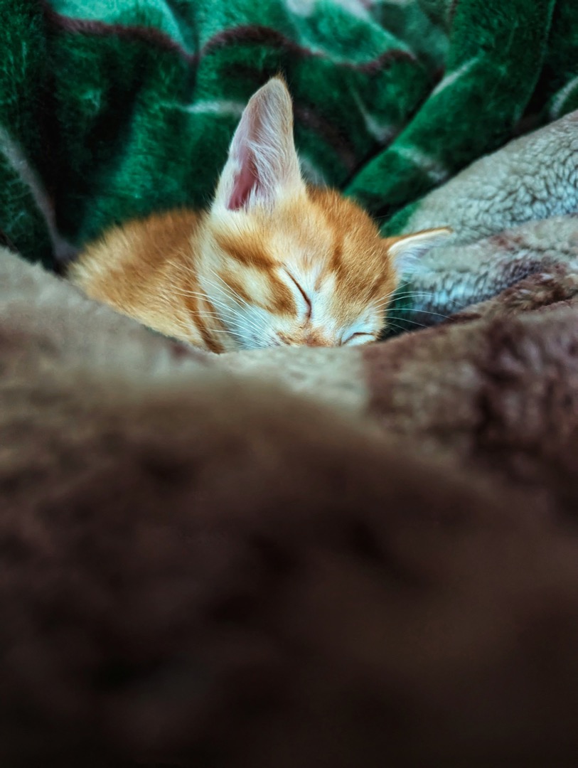 comfort